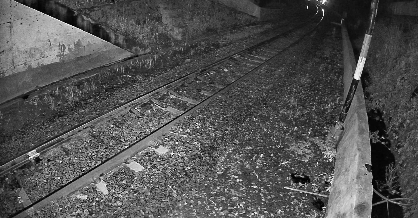 2026-05-05 19:26:41.jpg